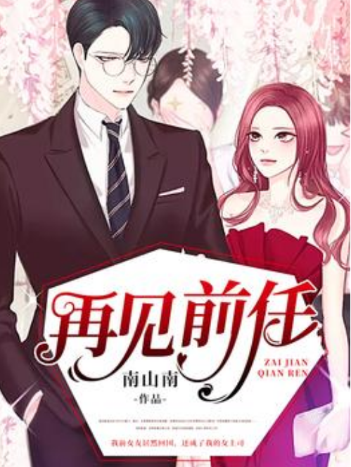 再見前任(南山南所著小說) 再見前任(南山南所著小說)