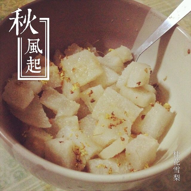 桂花雪梨 桂花雪梨