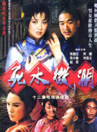 張國立(中國男演員)