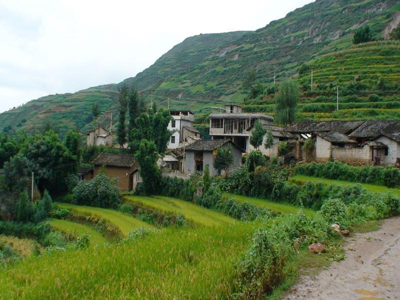 耗子龍村 耗子龍村