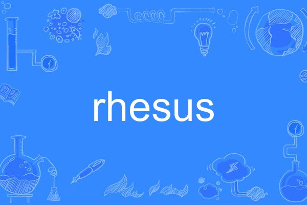 rhesus rhesus