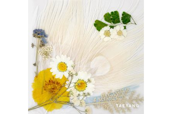 Darling(TAEYANG演唱歌曲) Darling(TAEYANG演唱歌曲)