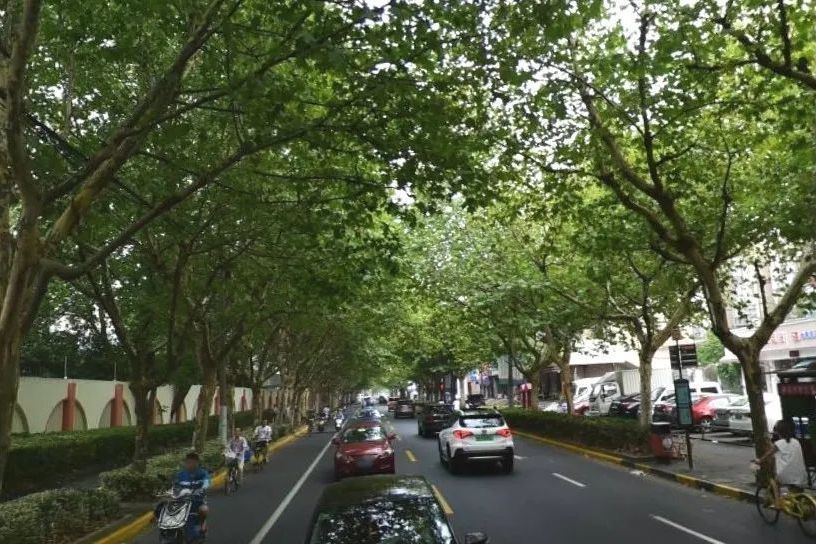 通河路(上海市通河路) 通河路(上海市通河路)