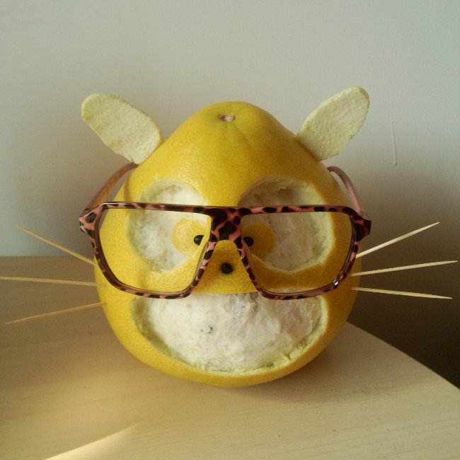 龍貓柚子