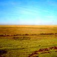 薩雅克—北哈薩克乾草原與湖群