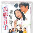 美麗的日子(2001年李秉憲主演韓國電視劇) 美麗的日子(2001年李秉憲主演韓國電視劇)
