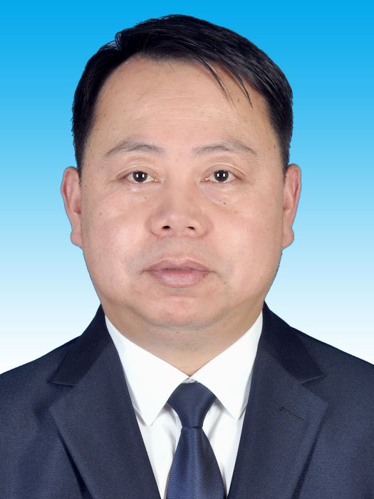 高成(廣東省肇慶市鼎湖區政府黨組成員、副區長、市公安局鼎湖分局局長) 高成(廣東省肇慶市鼎湖區政府黨組成員、副區長、市公安局鼎湖分局局長)