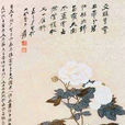 秋芙蓉 秋芙蓉