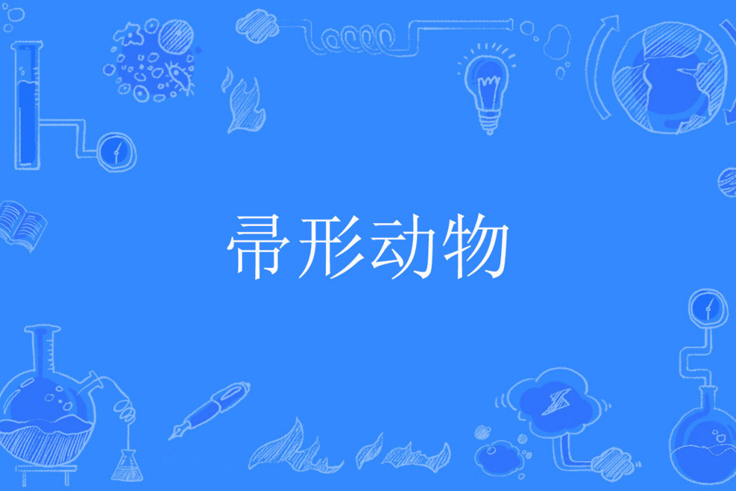 帚形動物 帚形動物
