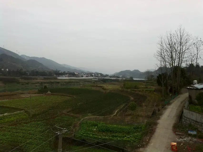 興旺塔村 興旺塔村
