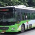 重慶公交594路 重慶公交594路