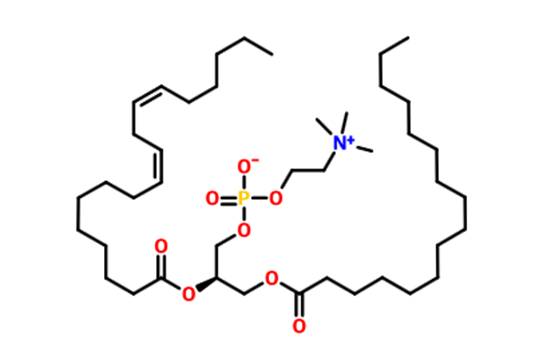 多烯磷酸醯膽鹼