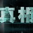 真相(貴州衛視《真相》)