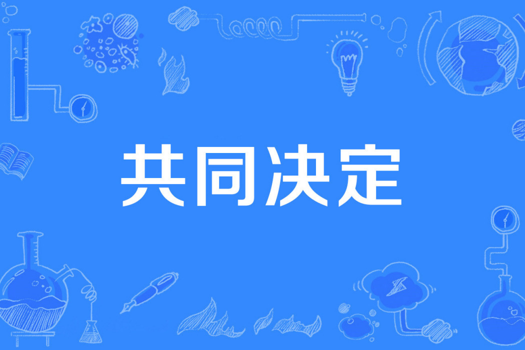 共同決定 共同決定