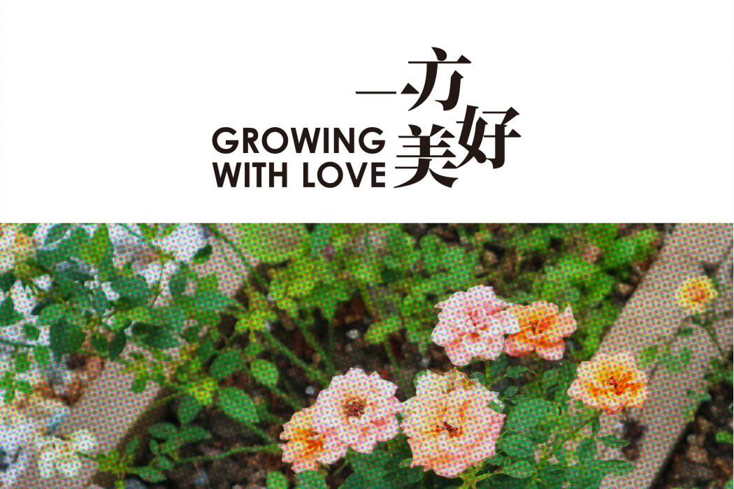 弄堂阿姨 弄堂阿姨