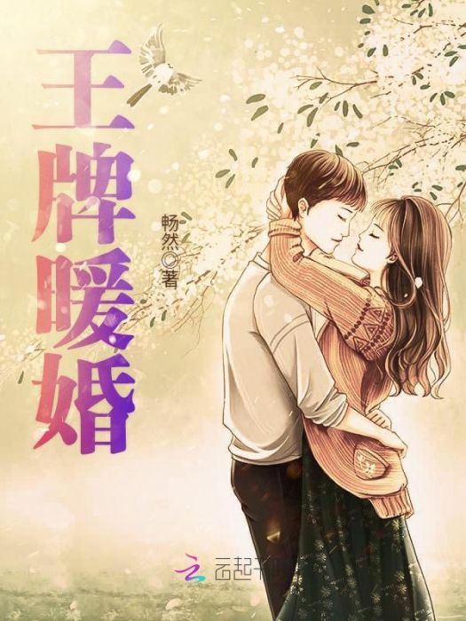 王牌暖婚 王牌暖婚