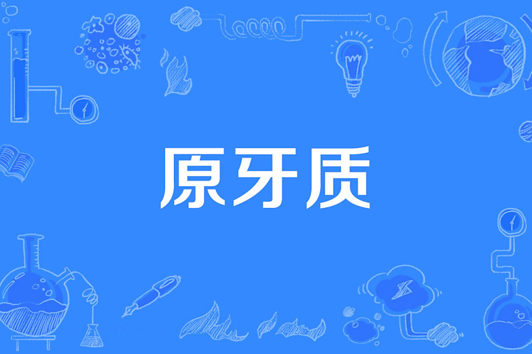 原牙質 原牙質