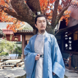 陸文瀚(電視劇《榜上佳婿》中的角色) 陸文瀚(電視劇《榜上佳婿》中的角色)