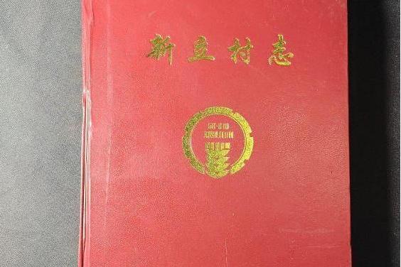 新立村志 新立村志