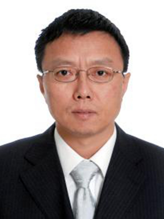 馮軍(中航工業第一飛機設計研究院副院長) 馮軍(中航工業第一飛機設計研究院副院長)