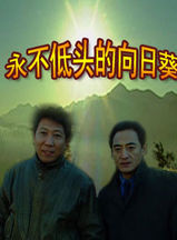 劉敏濤 劉敏濤