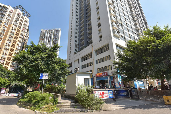 樹發大廈 樹發大廈