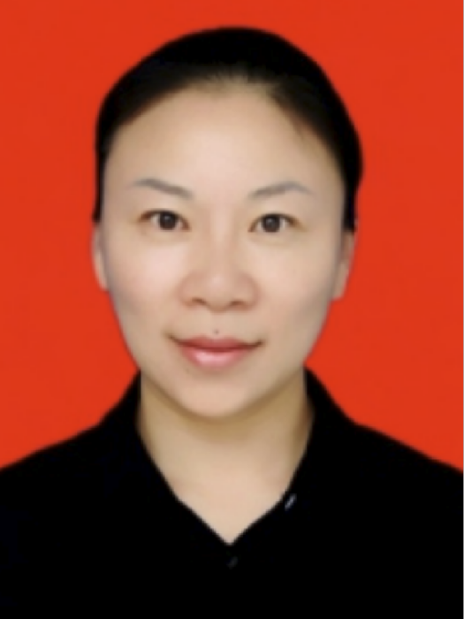 宋莉莉(上海市奉賢區四團鎮副鎮長) 宋莉莉(上海市奉賢區四團鎮副鎮長)