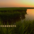 安徽蕭縣黃河故道省級自然保護區