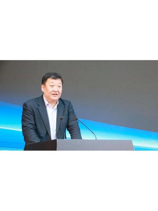 汪勇(中國移動通信集團河南有限公司副總經理) 汪勇(中國移動通信集團河南有限公司副總經理)