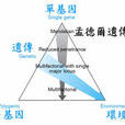 孟德爾遺傳病 孟德爾遺傳病