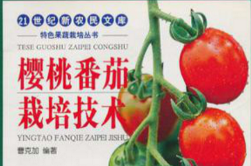 櫻桃番茄栽培技術