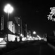 寡存 寡存