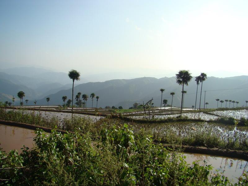 垤翁村