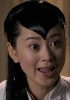東陵大盜(2008年張多福執導電視劇)