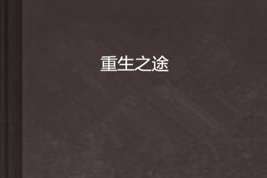 重生之途 重生之途