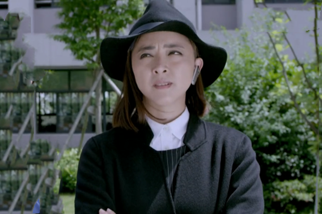 王宏濤(《極品一家人》中的女主角,由黃小蕾飾演) 王宏濤(《極品一家人》中的女主角,由黃小蕾飾演)