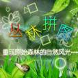 叢林拼圖 叢林拼圖