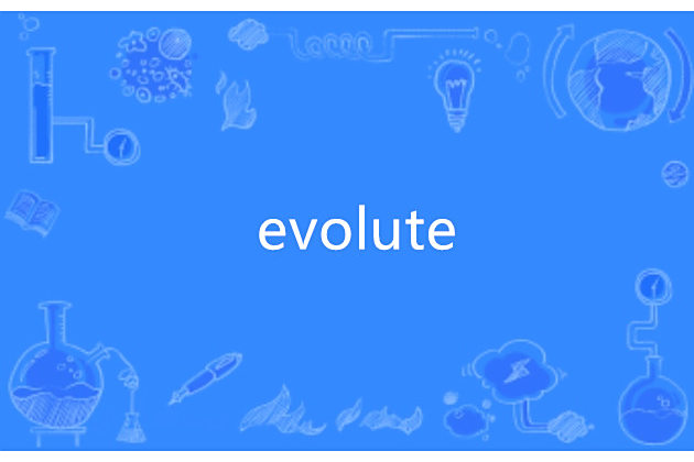 evolute evolute