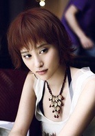 華麗一族(中國2013年李欣汝、高以翔主演電視劇)