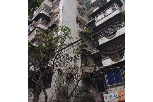 龍口小區 龍口小區