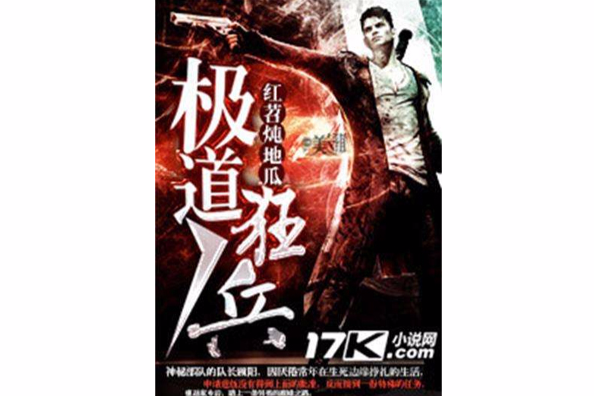 極道狂兵(17k網小說) 極道狂兵(17k網小說)