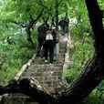 李景堂(烈士李景堂) 李景堂(烈士李景堂)