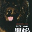 黑焰 黑焰