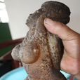 封(古籍中的傳說生物) 封(古籍中的傳說生物)