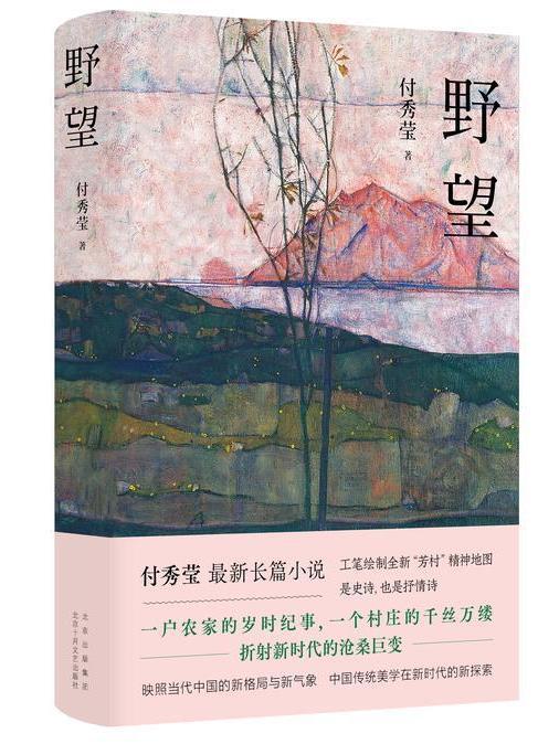 野望(付秀瑩著長篇小說) 野望(付秀瑩著長篇小說)