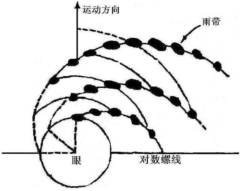 圖2雨帶相對於颱風中心的移動模式(Tatehira,1962)