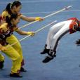 武術對練 武術對練