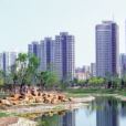 赤龍南街道 赤龍南街道