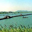 避塘橋 避塘橋
