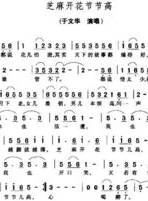 張英紅